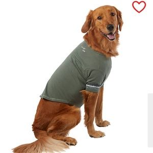 Green “You Got This” Dog T-Shirt